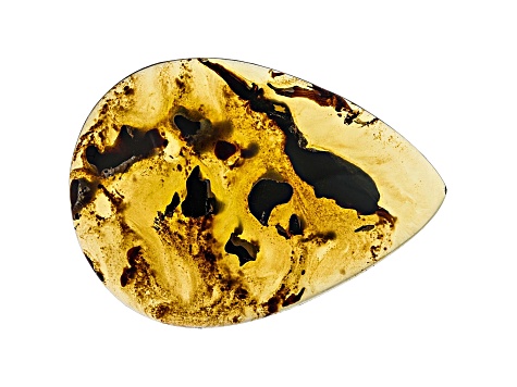 Sumatran Amber 46x33mm Pear Shape Cabochon 23.73ct