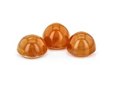 Opal Cat's Eye 6mm Round Set of 3 2.45ctw