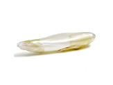 Natural Tennessee Freshwater Multi-Color Pearl 27.2x7.2mm Wing Shape 5.44ct