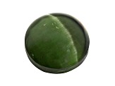 Apatite Cat's Eye 9mm Round Cabochon 4.55ct