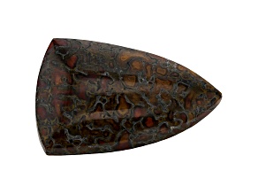 Dinosaur Bone 27x18.5mm Shield Shape Cabochon 19.85ct