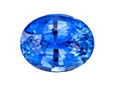 Sapphire Loose Gemstone 11.98x9.49mm Oval 6.48ct