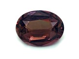 Pink Sapphire Loose Gemstone 12.18x9.18mm Oval 4.61ct