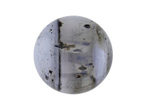 Montana Moss Agate 25mm Round Cabochon 39.97ct
