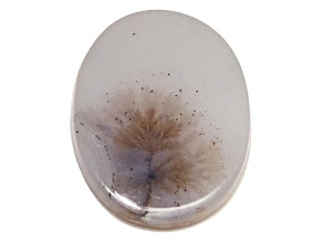 Dendritic Agate 18.37x14.42mm Oval Tablet 6.00ct