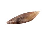 Moss Agate 68.7x23mm Kite Shape Cabochon Focal Bead