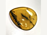 Moss Agate 22.5x18.6mm Pear Shape Cabochon 11.50ct