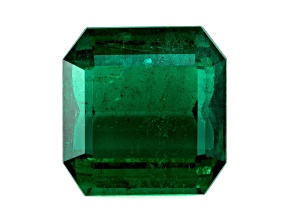 Zambain Emerald 13.54x10.88mm Emerald Cut 7.02ct