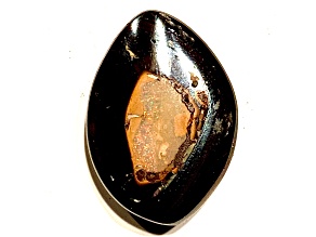 Boulder Opal 22x15mm Free-Form Cabochon 24.00ct