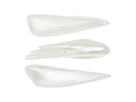 Natural Tennessee Freshwater Pearl Wing Shape Set of 3 3.13ctw