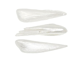 Natural Tennessee Freshwater Pearl Wing Shape Set of 3 3.13ctw