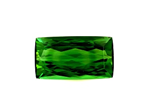 Green Tourmaline 16.5x9.1mm Cushion 7.30ct