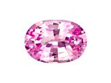 Pink Sapphire Loose Gemstone 7.6x5.4mm Oval 1.24ct
