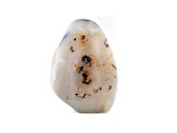 Dendritic Agate Free-Form 5x4in