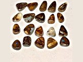 Boulder Opal Pre-Drilled Free-Form Cabochon Set of 20 58ctw