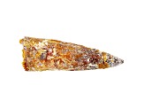 Dinosaur Tooth 15.17g 2.26x0.14 Inch Fossil From A Meat Eater