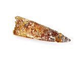 Dinosaur Tooth 15.17g 2.26x0.14 Inch Fossil From A Meat Eater