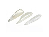 Natural Tennessee Freshwater Pearl Wing Shape Set of 3 2.97ctw