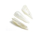 Natural Tennessee Freshwater Pearl Wing Shape Set of 3 2.97ctw