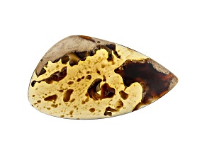 Sumatran Amber 48x26.6mm Pear Shape Cabochon 19.15ct