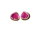 Watermelon Tourmaline 16mm Free-Form Slice Matched Pair 14.70ctw