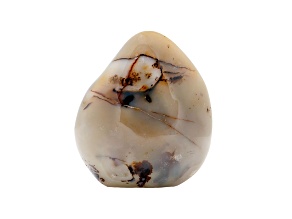 Dendritic Agate Free-Form 5.5x5.0in