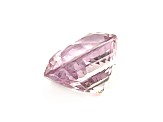 Pink Sapphire Loose Gemstone Unheated 10.18x8.97mm Oval 4.94ct