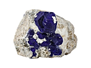 Afghan Lazurite with Pyrite 6.5x5.75cm Specimen