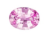 Pink Sapphire Loose Gemstone Unheated 11.98x8.78mm Oval 3.99ct