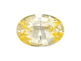 Yellow Sapphire Loose Gemstone Unheated 8.58x5.92mm Oval 1.45ct