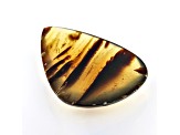 Sumatran Amber 45x32mm Pear Shape Cabochon 21.05ct