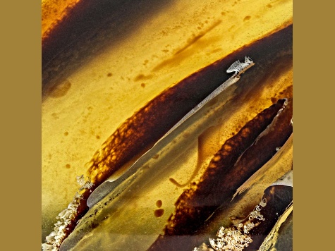 Sumatran Amber 45x32mm Pear Shape Cabochon 21.05ct