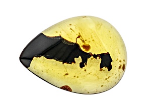Sumatran Amber 49x36.5mm Pear Shape Cabochon 29.87ct
