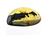 Sumatran Amber 49x36.5mm Pear Shape Cabochon 29.87ct