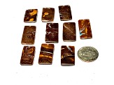 Boulder Opal Pre-Drilled Free-Form Cabochon Set of 10 82ctw