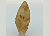 Sri Lankan Natural Yellow Sapphire Crystal 2.60x0.98cm 17.52ct
