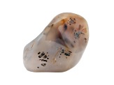 Dendritic Agate Free-Form 4.5x3.0in