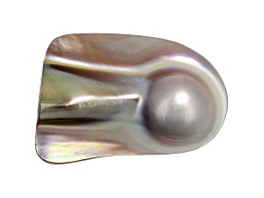 Cultured Saltwater Blister Pearl 45x29.5mm