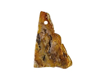 Picture of Oregon Graveyard Point Plume Agate 53.5x36mm Free-Form Slab Focal Bead