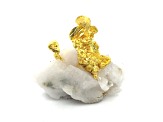 Californian Gold on Quartz 2.6x2.7cm Specimen
