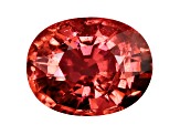 Orange Tourmaline 14.45x11.41mm Oval 9.32ct