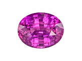Pink Sapphire Loose Gemstone 12.46x9.81mm Oval 6.27ct