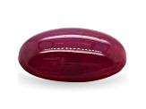 Star Ruby 8.3x5.7mm Oval Cabochon 1.69ct