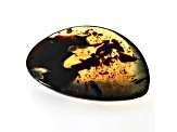 Sumatran Amber 50x35mm Pear Shape Cabochon 31.57ct
