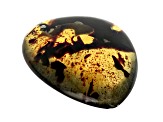 Sumatran Amber 50x35mm Pear Shape Cabochon 31.57ct
