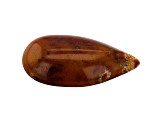 Tennessee Paint Rock Agate 28.0x15.0mm Tear Drop Cabochon 17.00ct