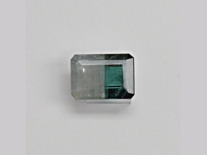 Bi-Color Tourmaline 17x12mm Emerald Cut 12.93ct
