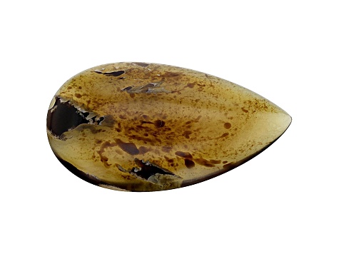 Sumatran Amber 54x33.5mm Pear Shape Cabochon 31.13ct