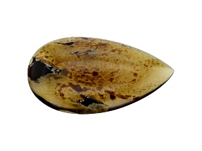 Sumatran Amber 54x33.5mm Pear Shape Cabochon 31.13ct