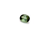 Green Tourmaline 12.1x9.3mm Oval 4.41ct